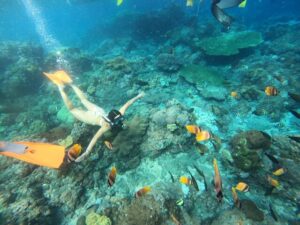 snorkeling with ton of fishes in nusa penida